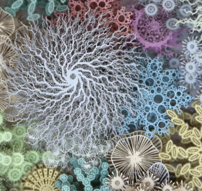 激光雕刻紙卡 帶你體驗(yàn)不一樣的藝術(shù)之美